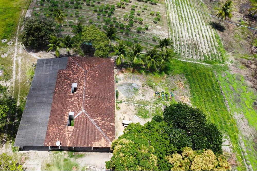 Chácara / Sítio / Fazenda - Venda - Conde , Paraíba - dji_fly_20240921_110430_251_1727098121677_photo_optimized.jpg - 722011055-34