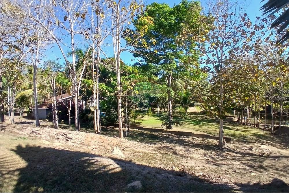 Chácara / Sítio / Fazenda - Venda - Jaru , Rondônia - 20250722_092151.jpg - 721551076-205