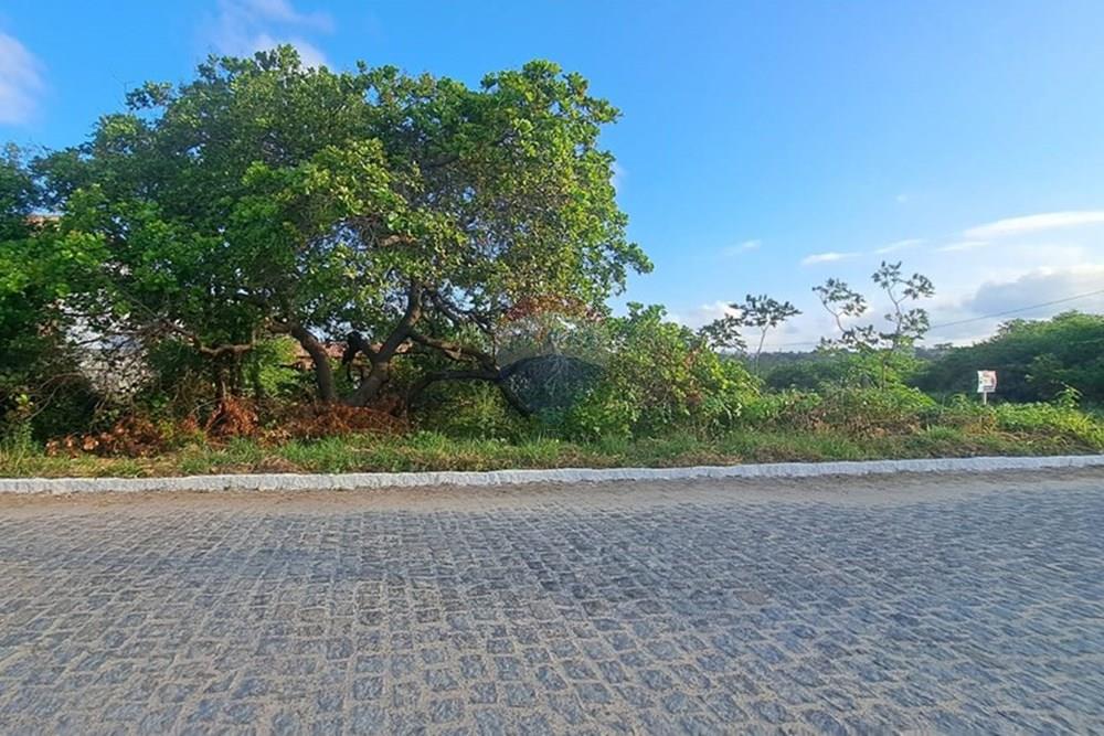 Terreno - Venda - Conde , Paraíba - 274ad960-f4cd-4d55-ab91-c787c1efb618.jpeg - 720471098-3