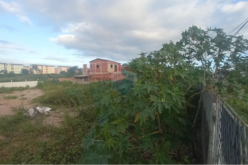 Terreno - Venda - Parnamirim , Rio Grande do Norte - WhatsApp Image 2025-08-04 at 09.58.58 (2).jpeg - 720731041-11