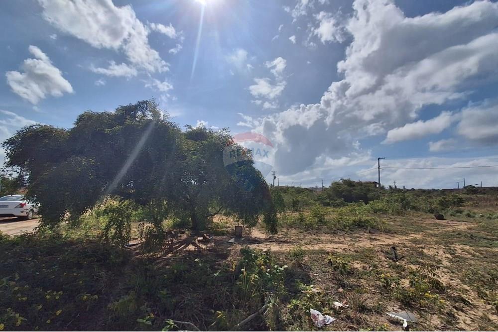 Terreno - Venda - Conde , Paraíba - 5a565af4-12e0-46b7-8661-0eee81670086.jpeg - 720871044-39