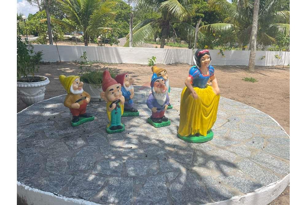 Chácara / Sítio / Fazenda - Venda - Conde , Paraíba - WhatsApp Image 2024-02-02 at 13.16.07 (1).jpeg - 720871004-212