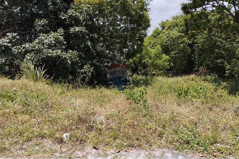 Terreno - Venda - Conde , Paraíba - mar de tabatinga 29.jpg - 720871057-5