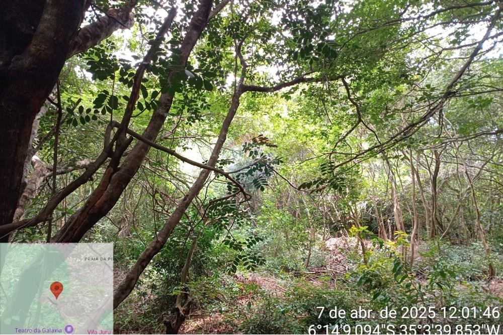 Terreno - Venda - Tibau do Sul , Rio Grande do Norte - Gustavo6.jpeg - 720891150-75