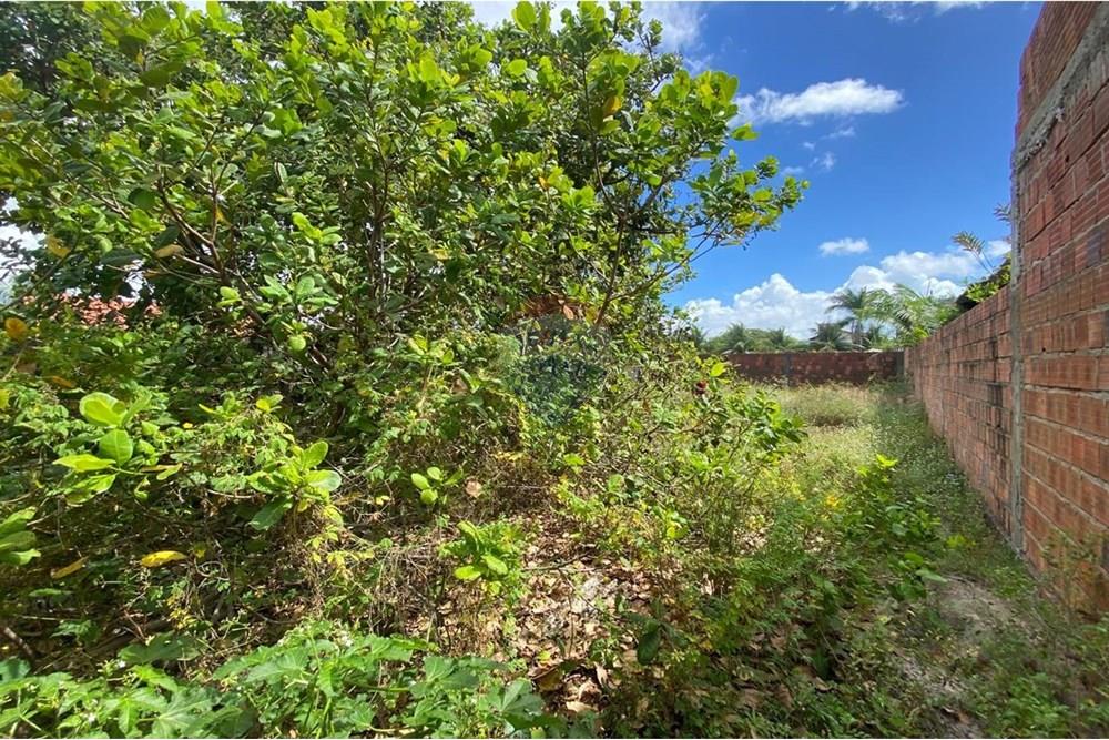Terreno - Venda - Cabedelo , Paraíba - 9dead2c8-baa4-4be5-8892-b434da2815ef.jpg - 720431073-17