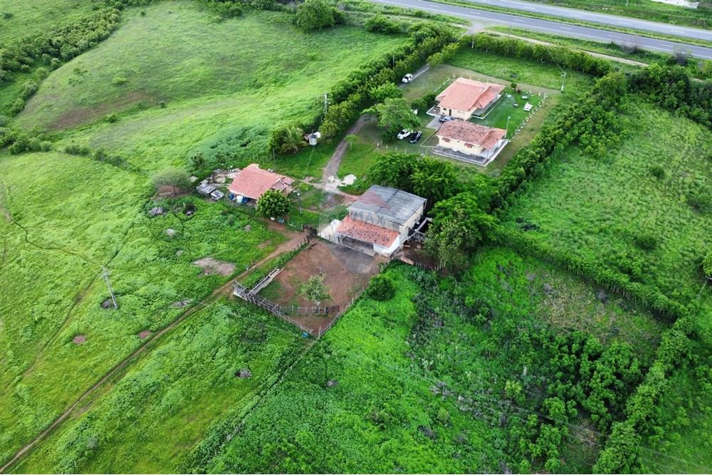 Chácara / Sítio / Fazenda - Venda - Riachão do Bacamarte , Paraíba - dji_fly_20250215_151638_504_1739643425637_photo_optimized.jpg - 722011055-39