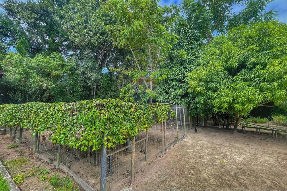 Terreno - Venda - Conde , Paraíba - WhatsApp Image 2024-07-24 at 14.36.27.jpeg - 720871004-166