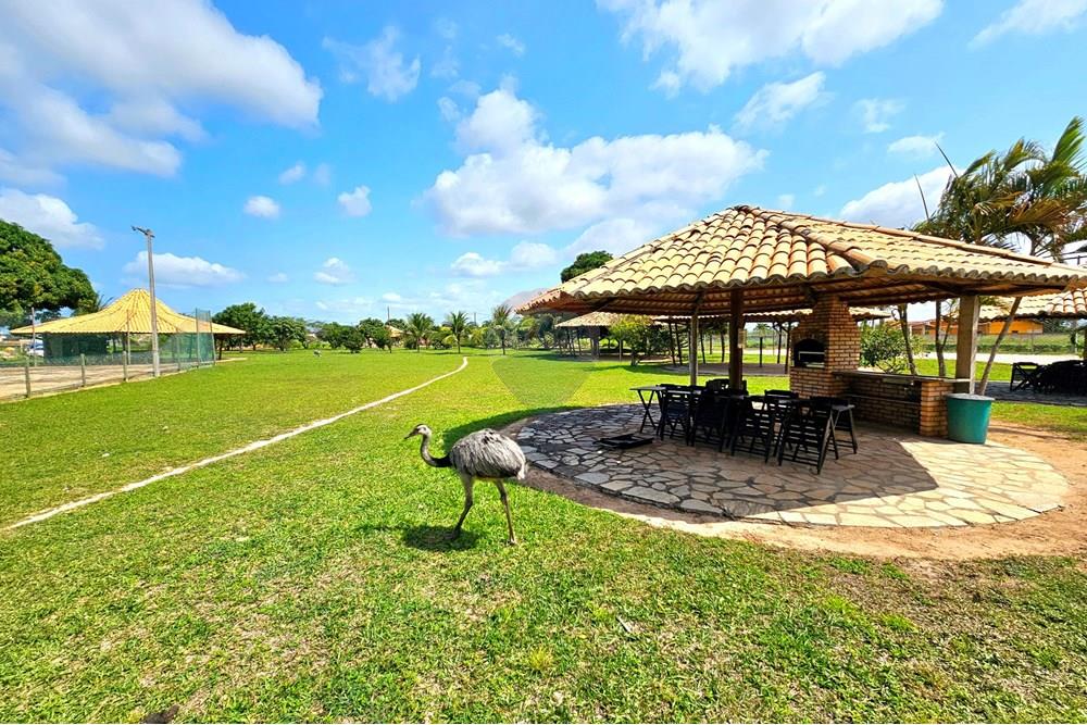 Casa de Condomínio - Venda - Macaíba , Rio Grande do Norte - 20250905_131702.jpg - 720891039-316