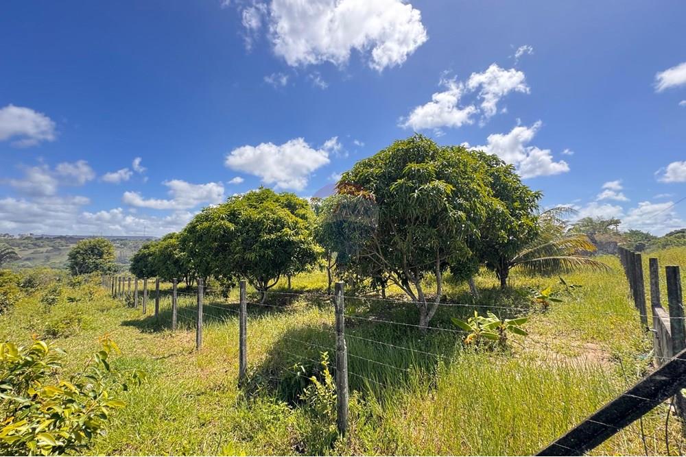 Terreno - Venda - Conde , Paraíba - 04.jpg - 720471011-115