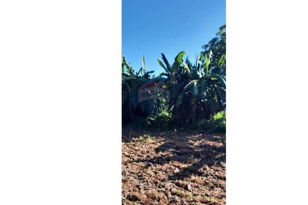 Fazenda - Venda - Guiratinga , Mato Grosso - IMG-20250730-WA0178.jpg - 721981068-4