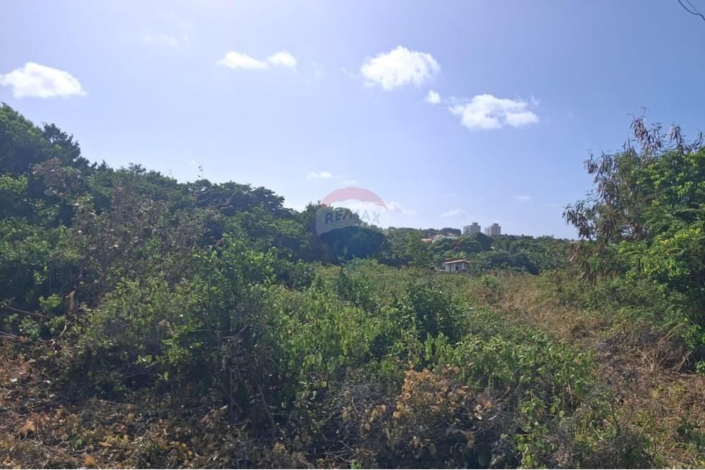 Terreno - Venda - Conde , Paraíba - 0e1e5a26-21a5-4aaa-8844-e90ace073b60.jpeg - 720871044-69