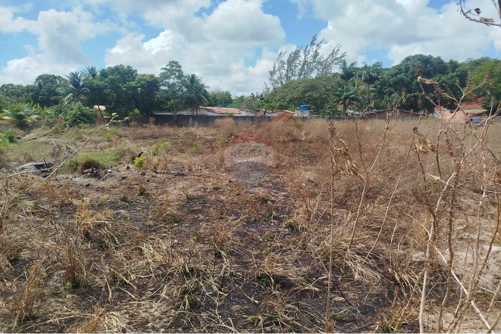 Terreno - Venda - Nísia Floresta , Rio Grande do Norte - WhatsApp Image 2024-11-22 at 21.32.39.jpeg - 720891013-74