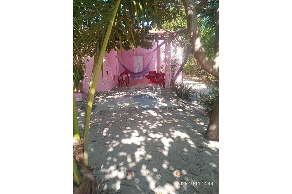 Chácara / Sítio / Fazenda - Venda - Parnaíba , Piauí - WhatsApp Image 2025-10-15 at 09.35.35 (2).jpeg - 722361007-3