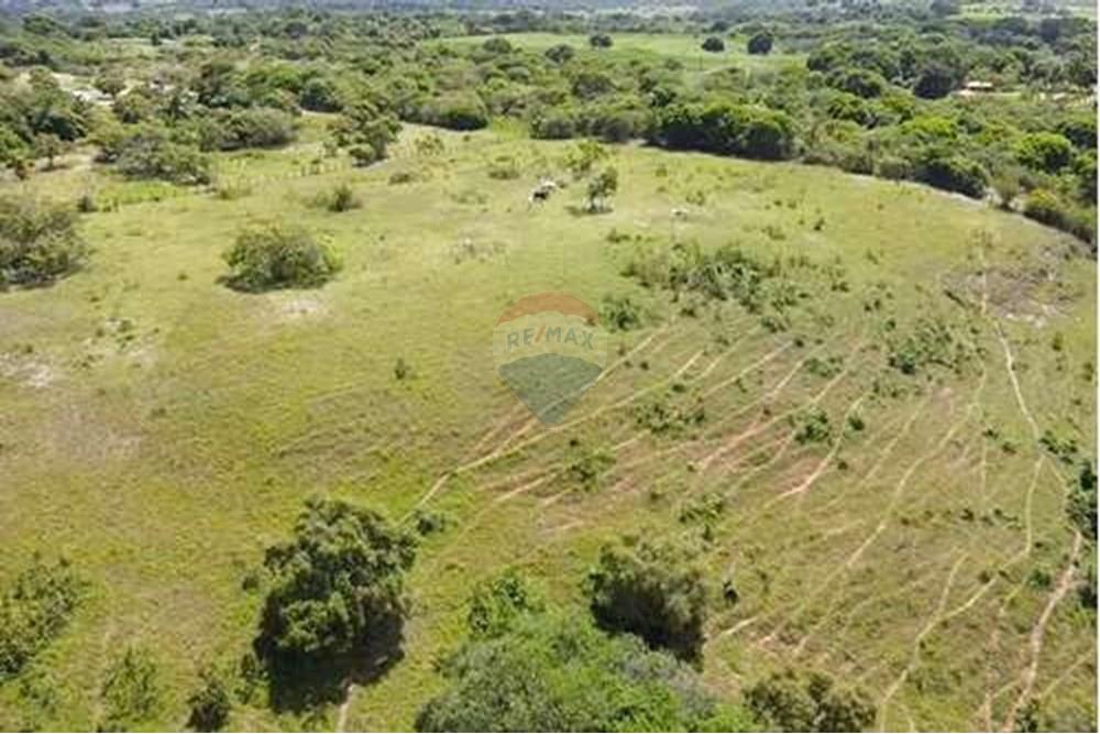 Chácara / Sítio / Fazenda - Venda - Conde , Paraíba - L_3a42fd3c-380b-4197-8d5c-eb529c24bf3f.jpg - 722011055-33