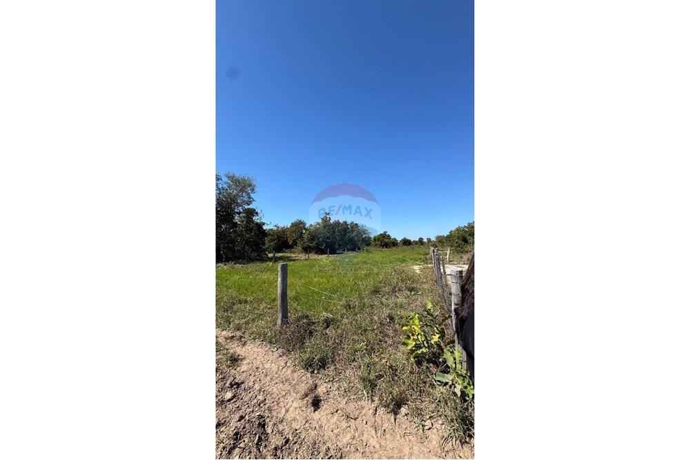 Fazenda - Venda - Santo Antônio do Leverger , Mato Grosso - 7f50d731-a96a-4ec5-abeb-ec4d437fd36a.jpeg - 720611035-41