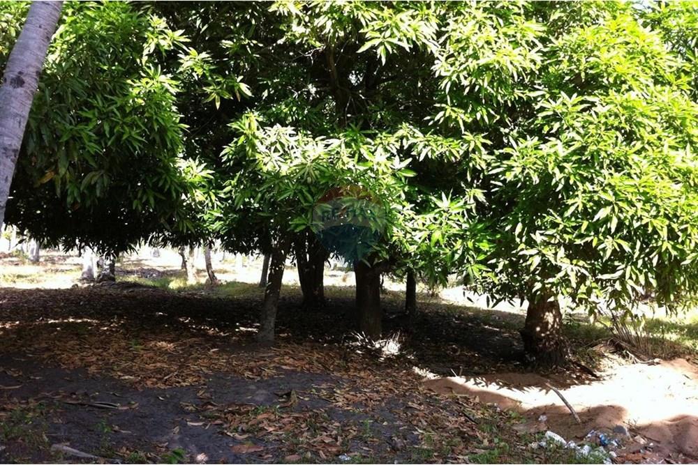 Terreno - Venda - Nísia Floresta , Rio Grande do Norte - 13.jpeg - 720811063-21