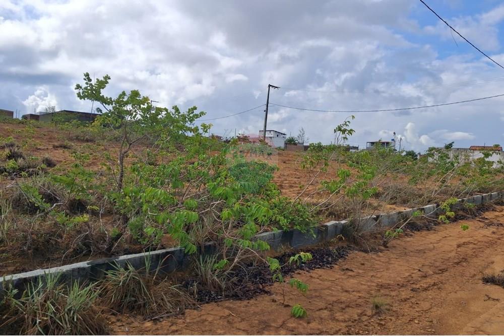 Terreno - Venda - Conde , Paraíba - 3f55eeb3-6bee-45fe-a06a-e8dbdc7f4788.jpeg - 720871044-31