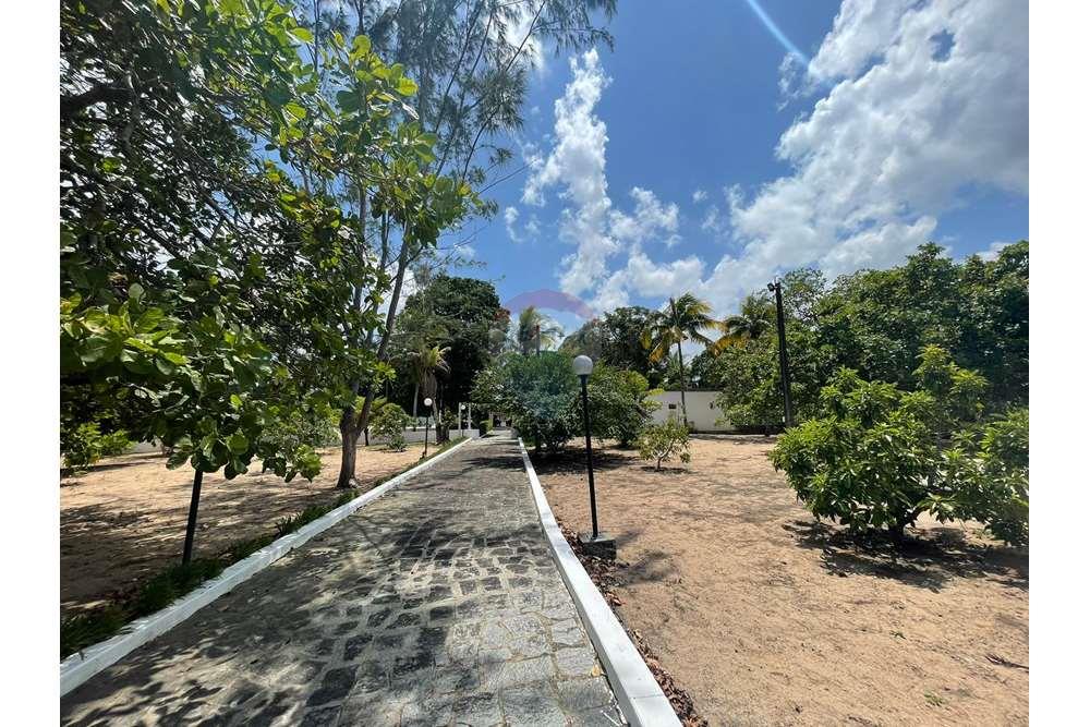 Chácara / Sítio / Fazenda - Venda - Conde , Paraíba - WhatsApp Image 2024-02-02 at 13.16.04.jpeg - 720871004-212