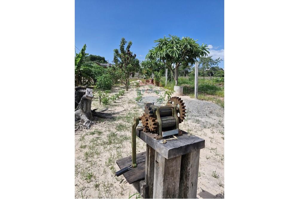 Chácara / Sítio / Fazenda - Venda - Barra do Garças , Mato Grosso - WhatsApp Image 2024-11-27 at 21.09.33 (3).jpeg - 722221026-15