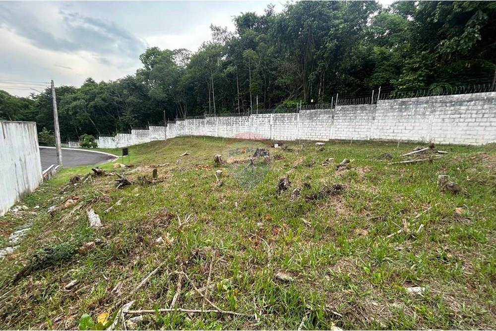 Terreno - Venda - Manaus , Amazonas - WhatsApp Image 2025-09-18 at 15.06.55 (2).jpeg - 720661008-119