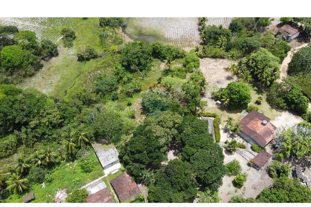 Chácara / Sítio / Fazenda - Venda - Conde , Paraíba - DJI_0283.JPG - 720871004-216