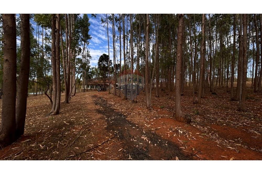 Chácara / Sítio / Fazenda - Venda - Catalão , Goiás - WhatsApp Image 2025-09-26 at 15.40.39.jpeg - 722251002-53