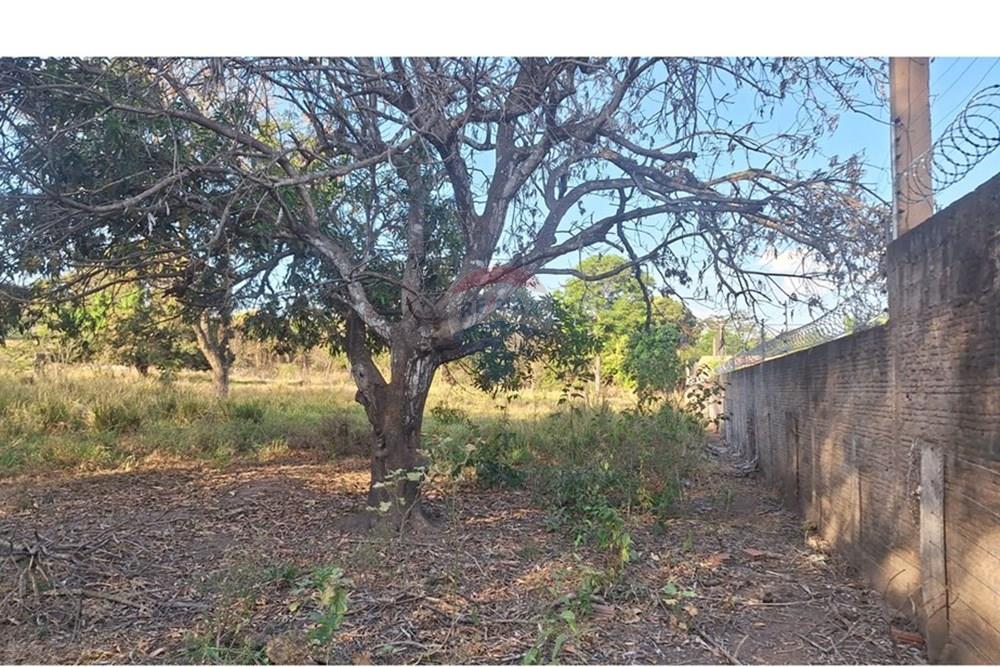 Terreno - Venda - Rondonópolis , Mato Grosso - IMG-20250830-WA0052.jpg - 721981068-5