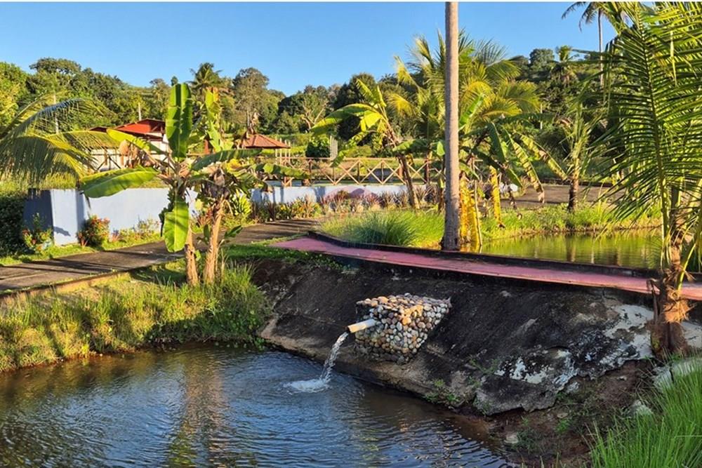 Chácara / Sítio / Fazenda - Venda - Alhandra , Paraíba - 20250724_163120.jpg - 722011055-42