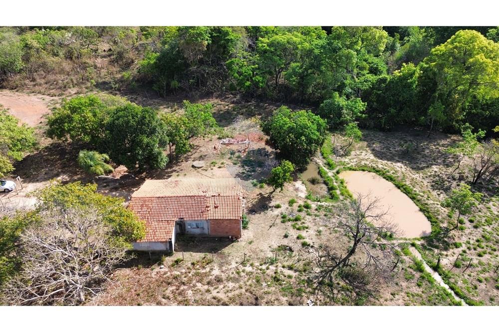 Chácara / Sítio / Fazenda - Venda - Caldas Novas , Goiás - IMG_6961.JPG - 722251025-1