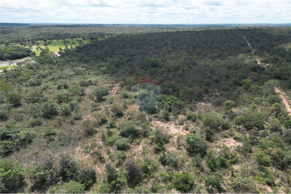 Chácara / Sítio / Fazenda - Venda - Araguaína , Tocantins - 15 - 720991010-70