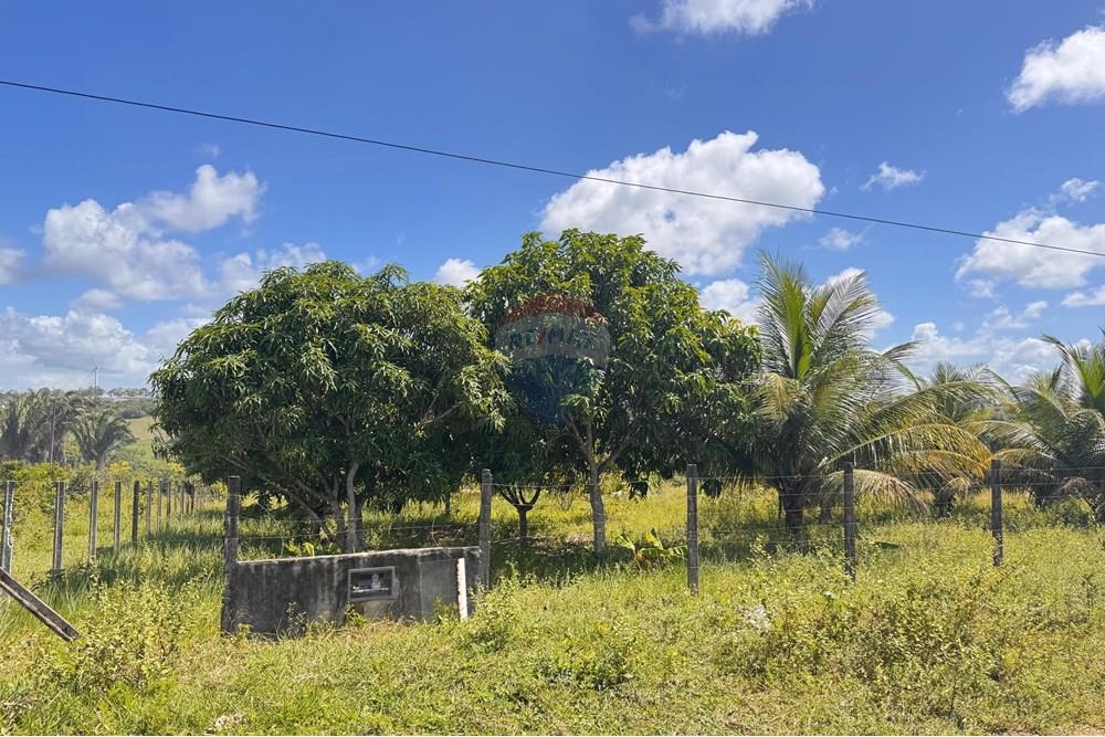 Terreno - Venda - Conde , Paraíba - 14.jpg - 720471011-115