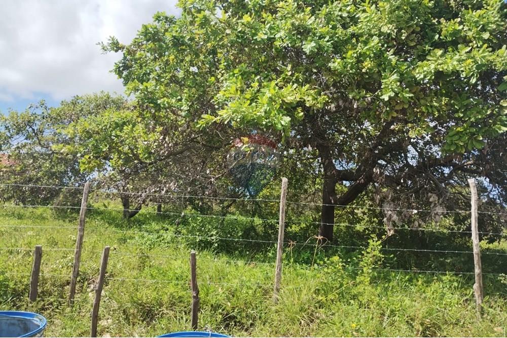 Terreno - Venda - Conde , Paraíba - 3a96db5f-c986-4e73-8592-3519189aac70.jpg - 720871056-11