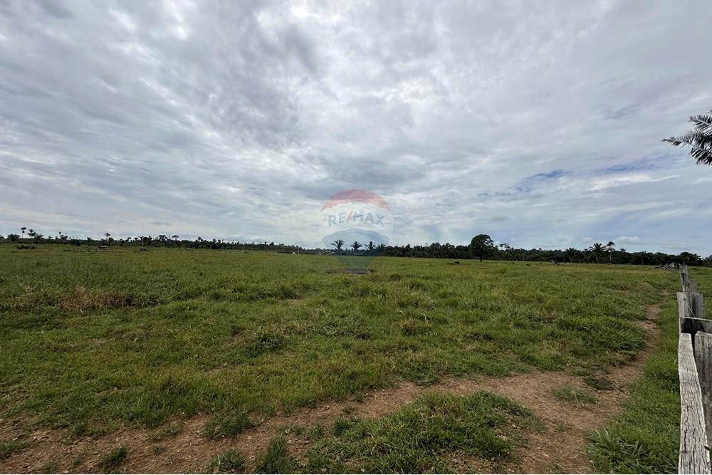 Fazenda - Venda - Itapuã do Oeste , Rondônia - IMG_0335.JPG - 721551004-289