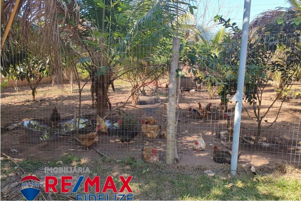 Chácara / Sítio / Fazenda - Venda - Rondonópolis , Mato Grosso - 15.jpg - 722261012-11