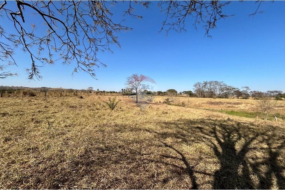 Fazenda - Venda - São José do Povo , Mato Grosso - WhatsApp Image 2025-08-20 at 09.44.09 (17).jpeg - 720561029-219