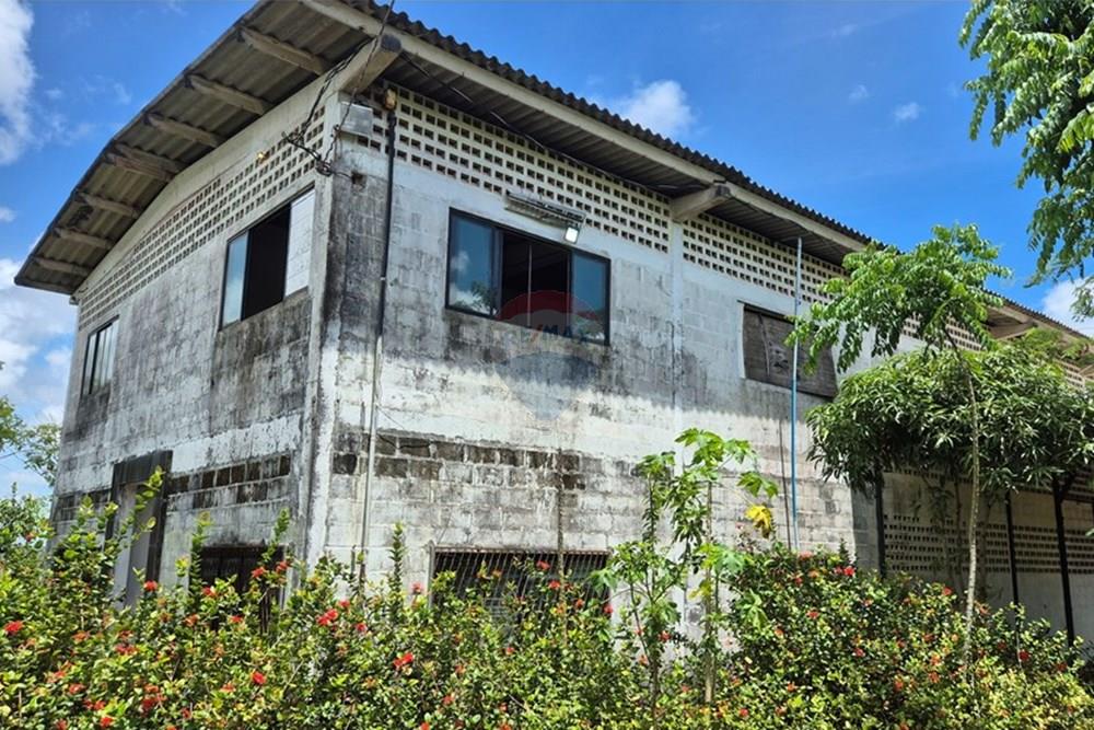 Galpão - Venda - Pedras de Fogo , Paraíba - 20250207_102814.jpg - 722011055-41