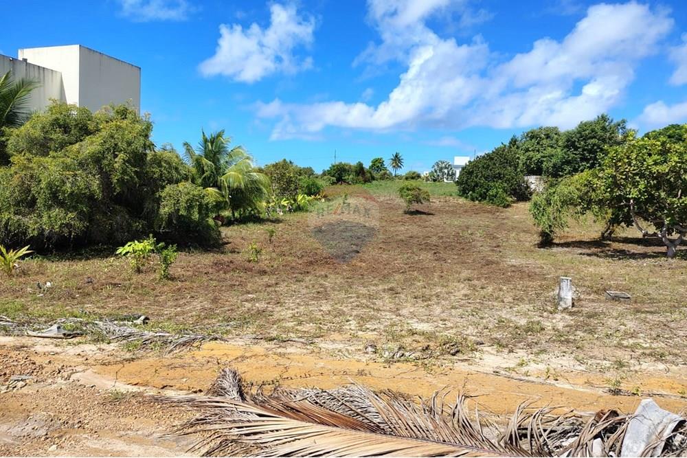 Terreno - Venda - Conde , Paraíba - Imagem do WhatsApp de 2025-07-05 à(s) 08.19.05_ac3b1e3f.jpg - 720871055-11
