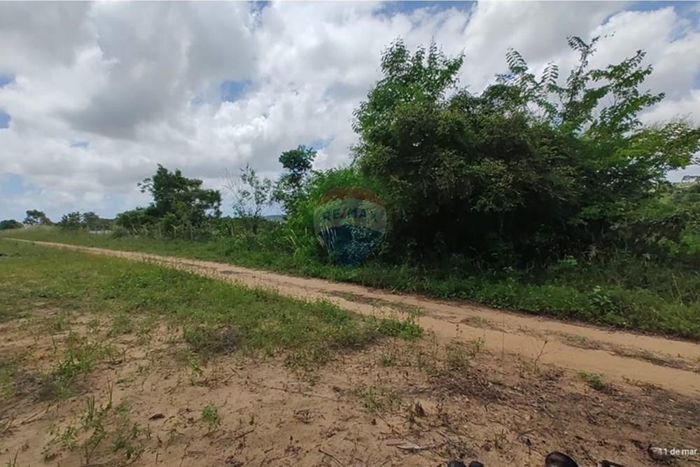 Terreno - Venda - Conde , Paraíba - WhatsApp Image 2025-03-12 at 09.15.15 (3).jpeg - 720871050-6