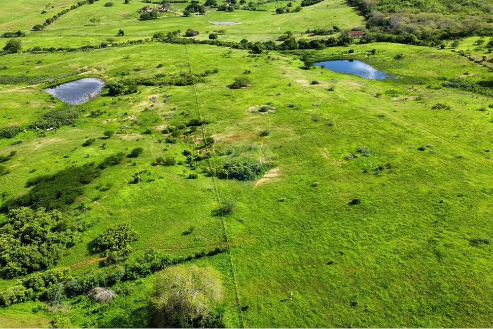 Chácara / Sítio / Fazenda - Venda - Riachão do Bacamarte , Paraíba - dji_fly_20250215_145644_460_1739642286354_photo_optimized.jpg - 722011055-39