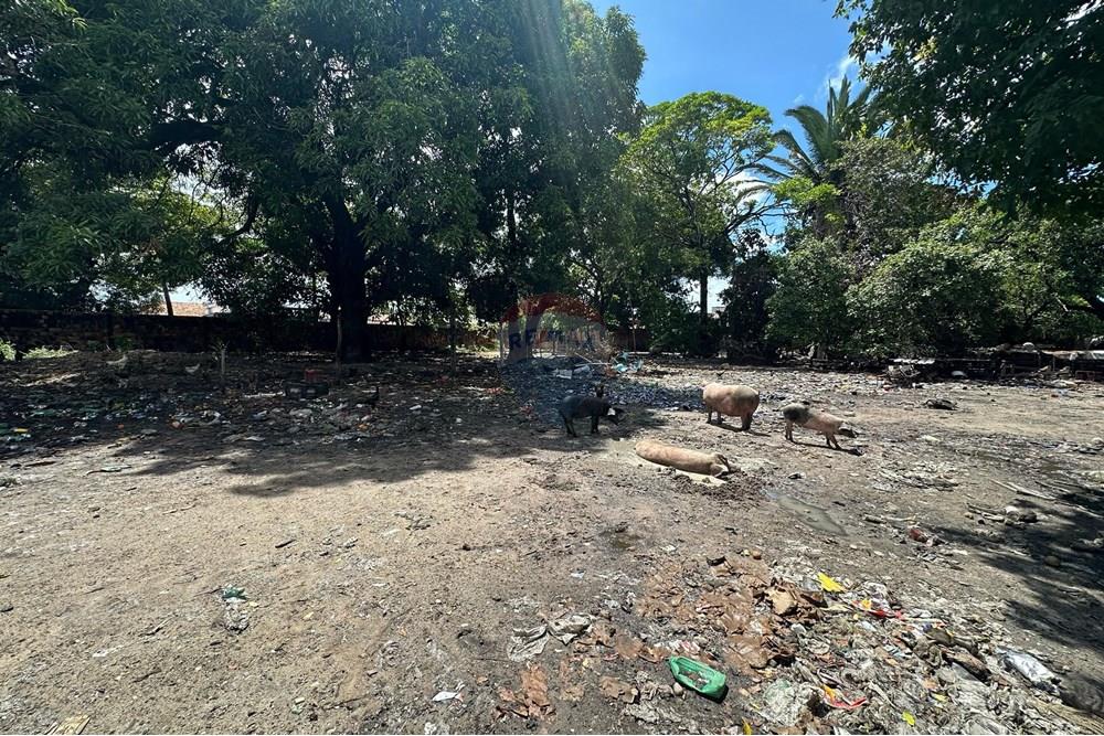 Terreno - Alugar - Fortaleza , Ceará - WhatsApp Image 2025-04-24 at 11.14.06.jpeg - 721621017-82