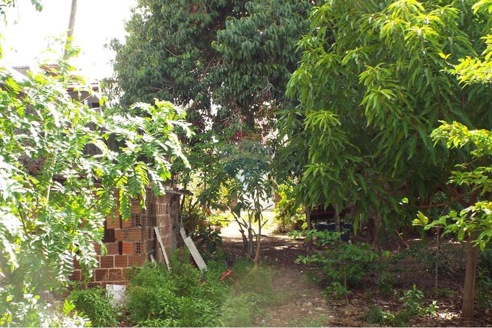 Terreno - Venda - Natal , Rio Grande do Norte - DSCF2367.JPG - 720891130-142