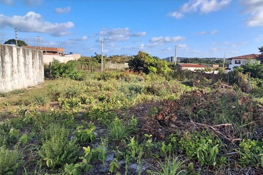 Terreno - Venda - Conde , Paraíba - 5cfaad52-c761-494f-8020-599a53664861.jpeg - 720871044-98