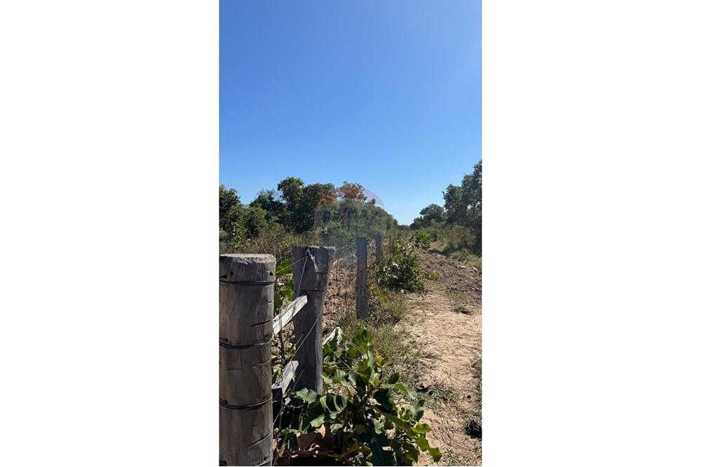 Fazenda - Venda - Santo Antônio do Leverger , Mato Grosso - cb989e85-b182-4bd8-a491-40937abceaea.jpeg - 720611035-41