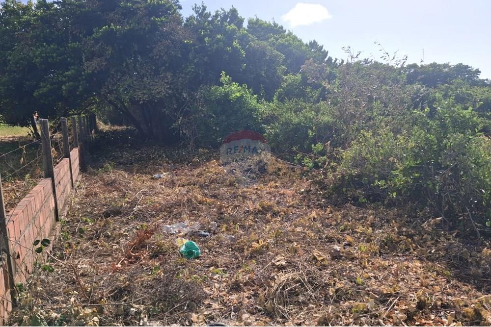 Terreno - Venda - Conde , Paraíba - 7ac02127-dbf3-426f-a427-cfc9bbd803d4.jpeg - 720871044-69