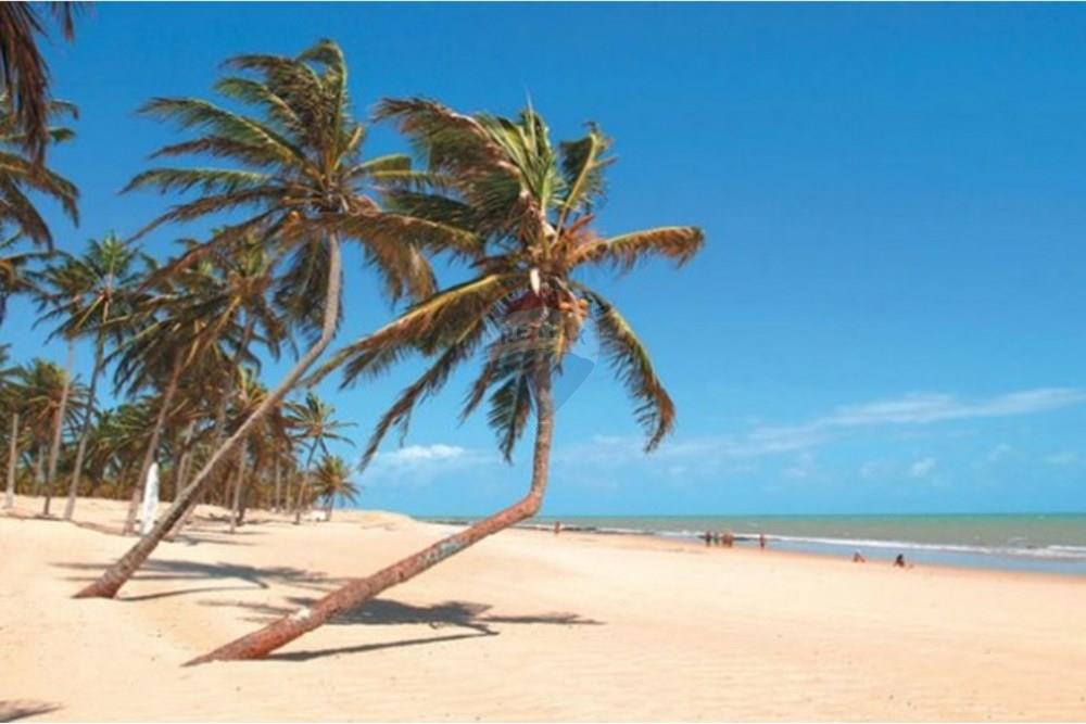 Terreno - Venda - São Miguel do Gostoso , Rio Grande do Norte - PRAIA.jpg - 720891024-164