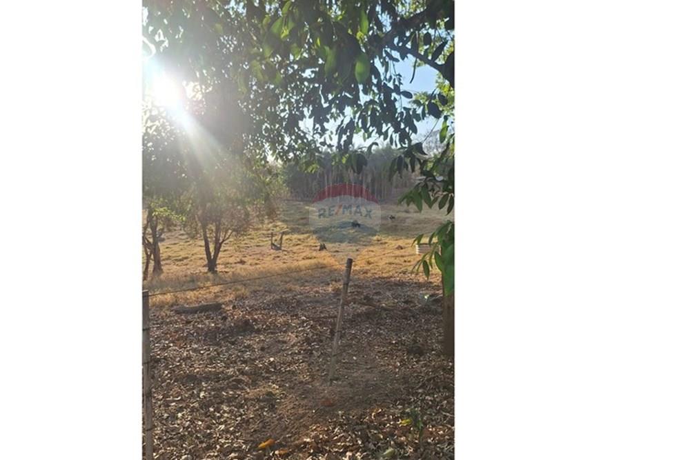 Casa - Venda - Rondonópolis , Mato Grosso - IMG-20250916-WA0121.jpg - 721981068-10