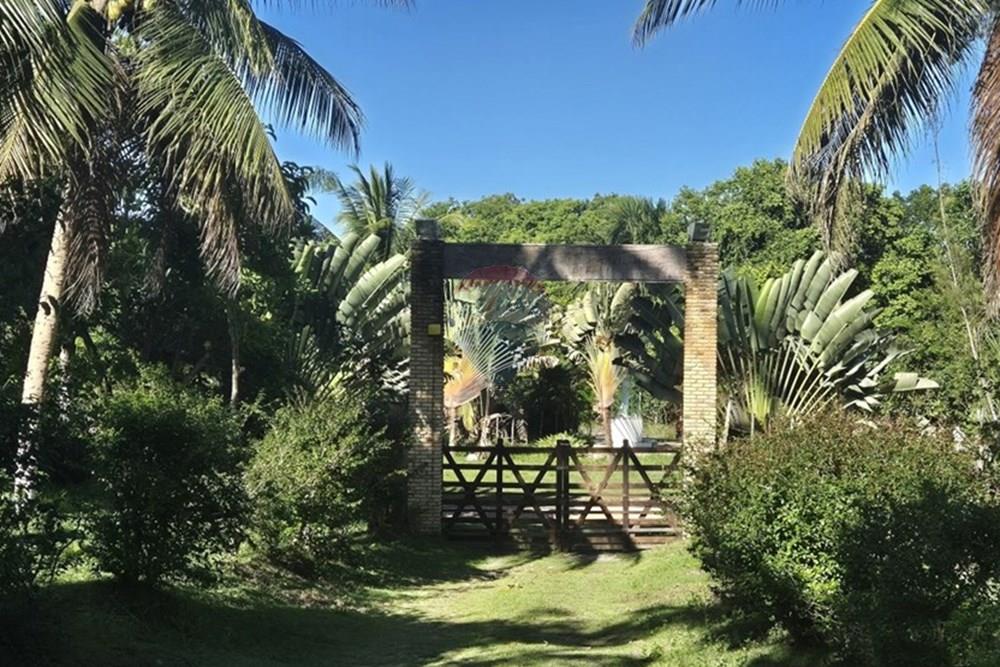 Chácara / Sítio / Fazenda - Venda - Mamanguape , Paraíba - 20250207_151921.jpg - 722011055-45