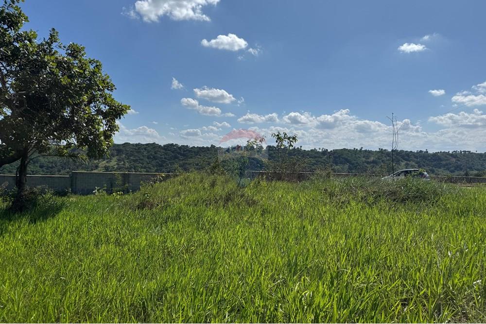 Terreno - Venda - Bananeiras , Paraíba - WhatsApp Image 2025-01-22 at 09.47.10 (7).jpeg - 720551002-74