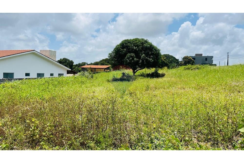 Terreno - Venda - Conde , Paraíba - WhatsApp Image 2025-09-24 at 13.36.59.jpeg - 720871004-211