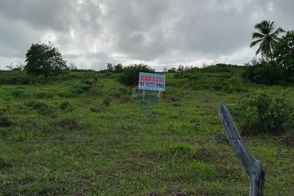 Terreno - Venda - Tibau do Sul , Rio Grande do Norte - LuizArea17.jpeg - 720891150-73